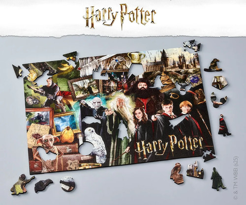 The wizarding world 500 - the,